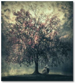 Copyright © Lars Raun